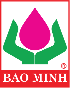 Bảo Hiểm Du Lịch Bảo Minh Chuyên Nghiệp Minh Bạch